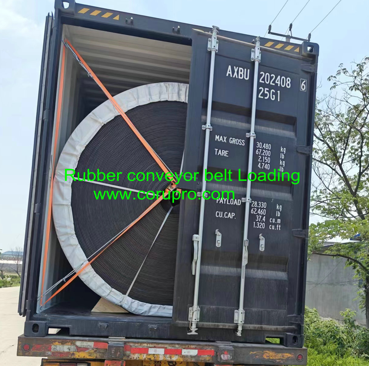 Professional customized services